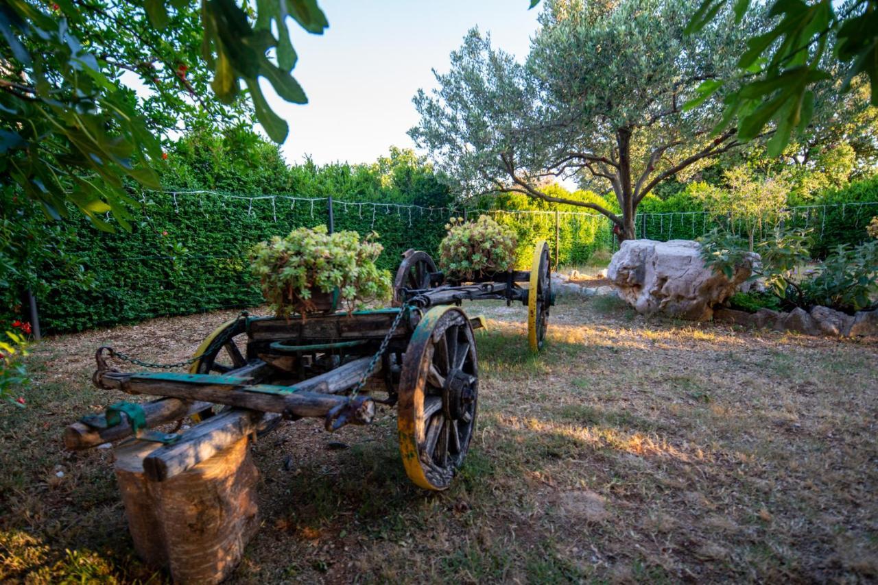Holiday House Cvita Biograd Na Moru Eksteriør bilde