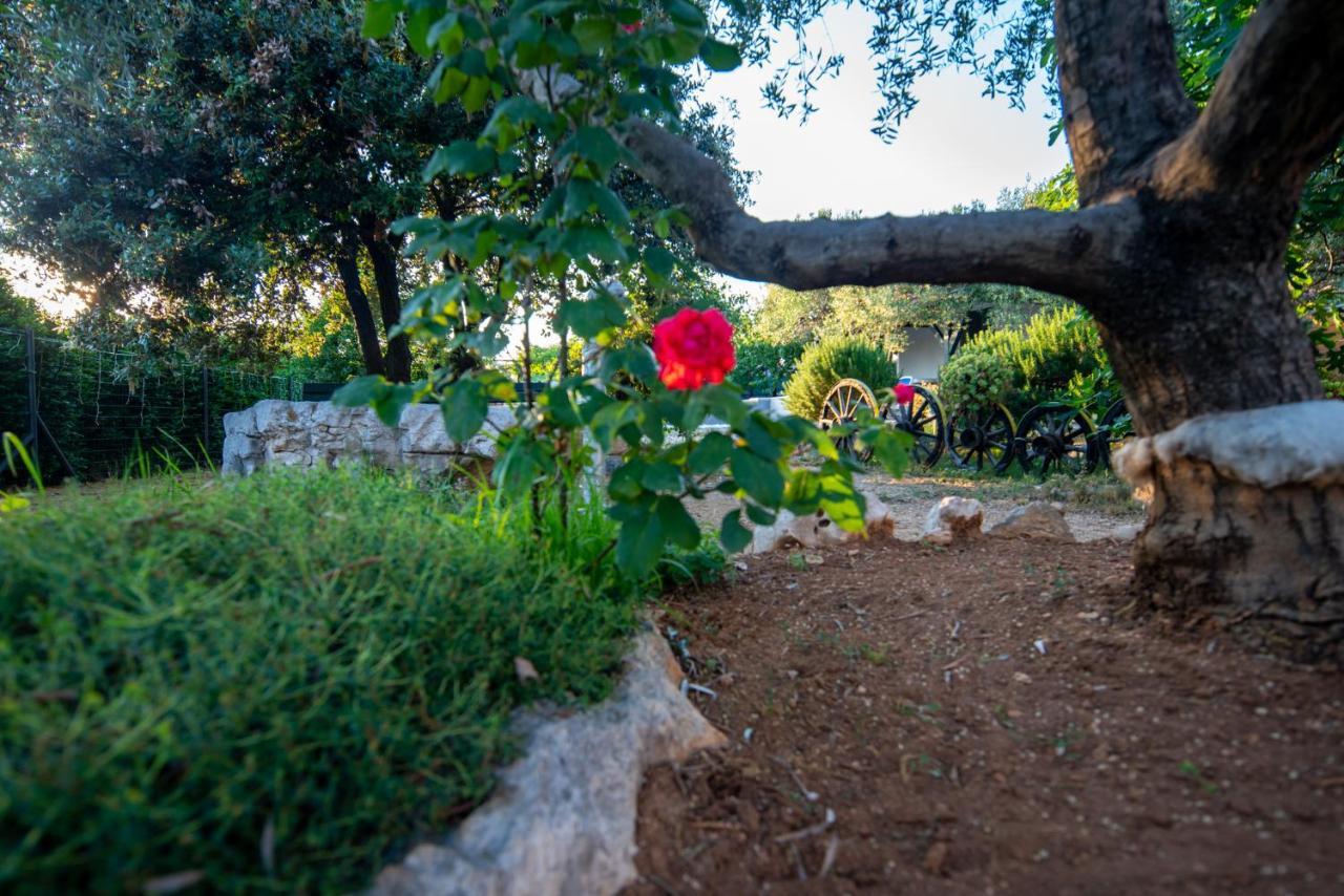Holiday House Cvita Biograd Na Moru Eksteriør bilde